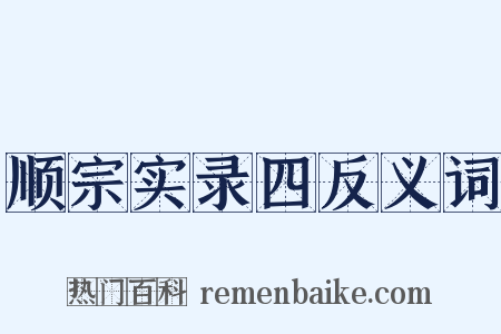 顺宗实录四反义词是什么意思的图片